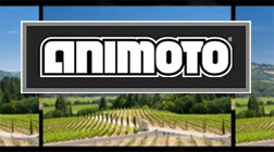 Animoto Real Estate Videos