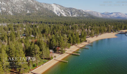 mark salmon wordpress real estate website
