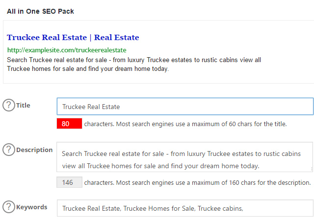 All In One SEO Example