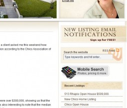 mobile graphic example 255x217